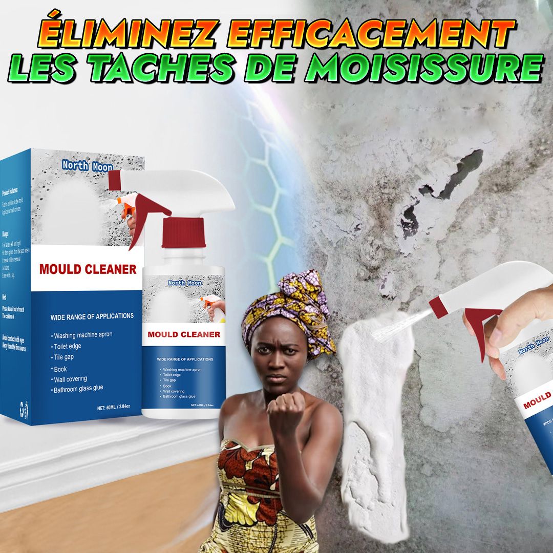 Mousse nettoyante anti-moisissure-GN